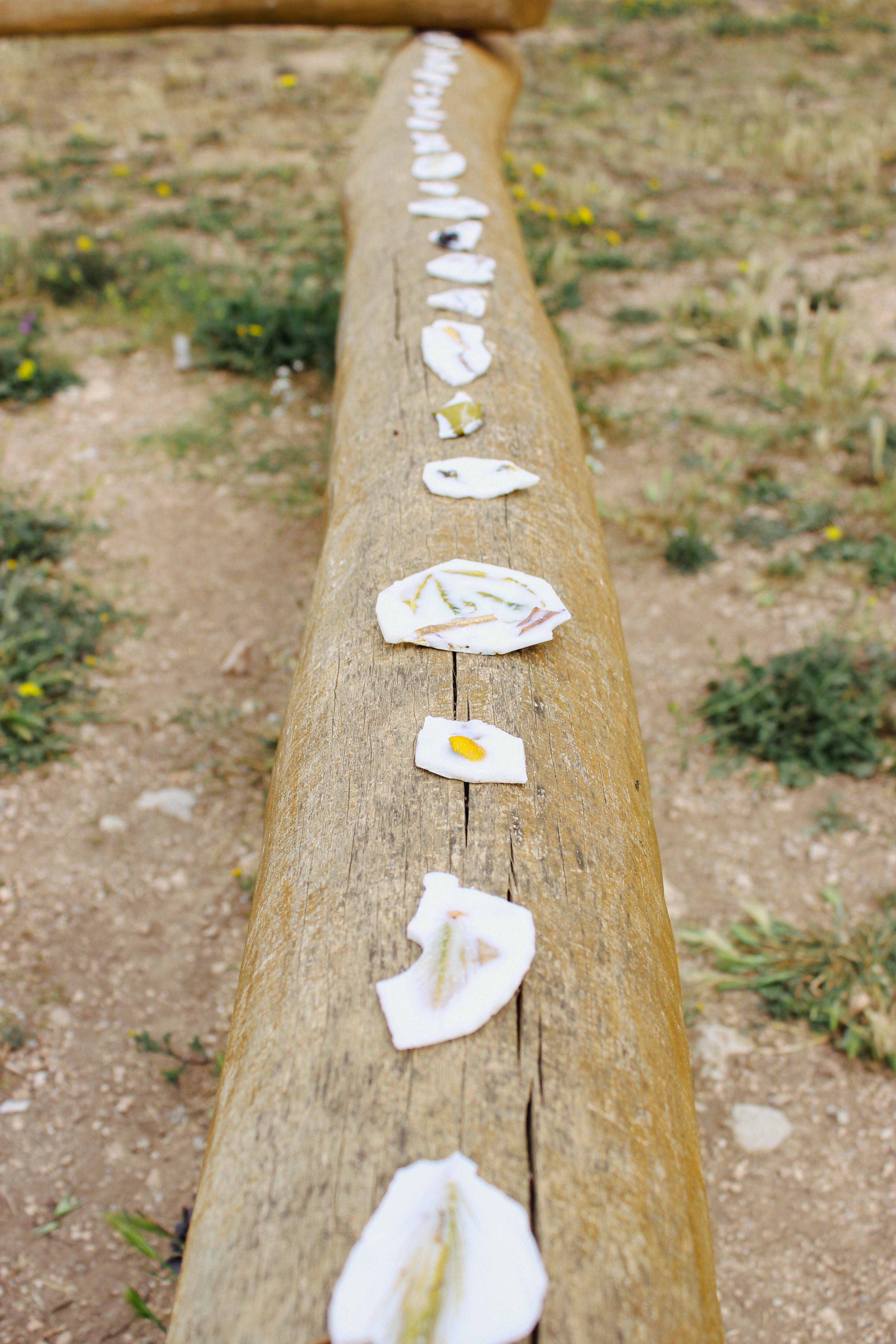 In Situ 2